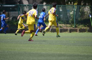 DSC_0102(4)
